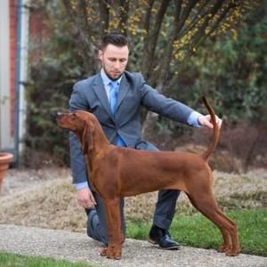 Meet your Posher, Cole